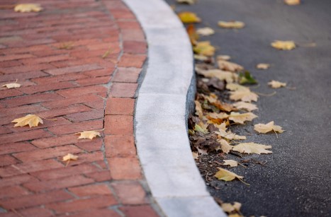 close up of street curb with leaves